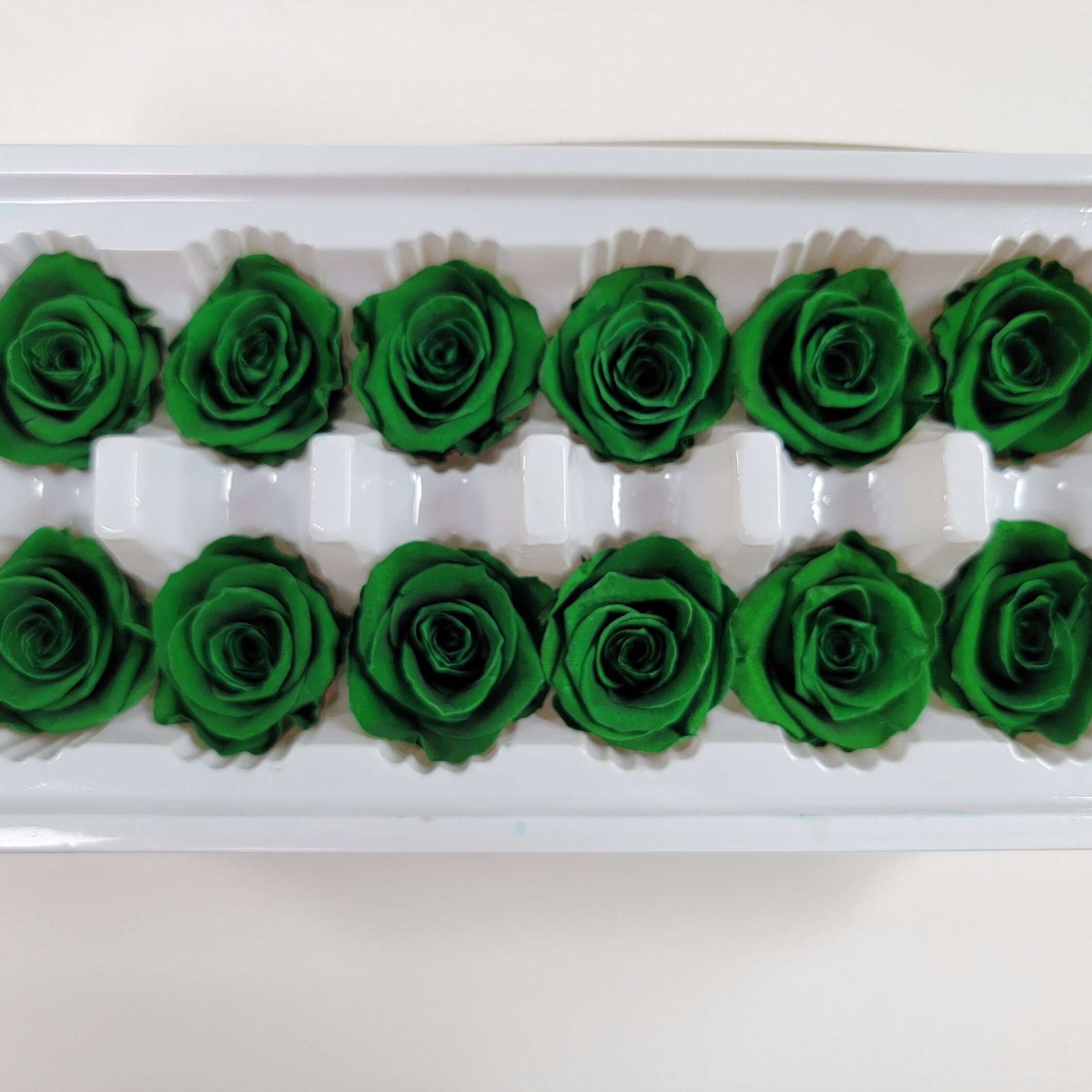 12 Dark Green Preserved Roses: DIY Floral Arrangements